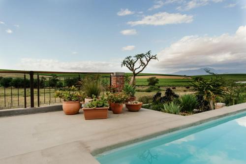 a patio with potted plants and a swimming pool at Vineyard Views Country House in Riebeek-Kasteel