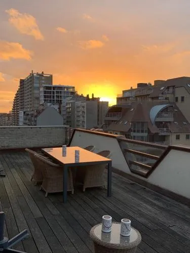 Cap Nord 501 picture