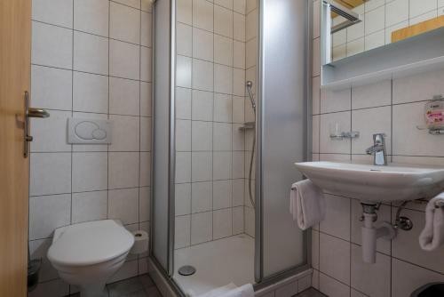 La salle de bains est pourvue de toilettes, d'un lavabo et d'une douche. dans l'établissement Sport Resort Fiesch, Garni Aletsch, à Fiesch