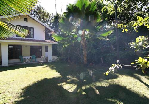 a yard with a palm tree and a house at La Rocaille in Baie Lazare Mahé