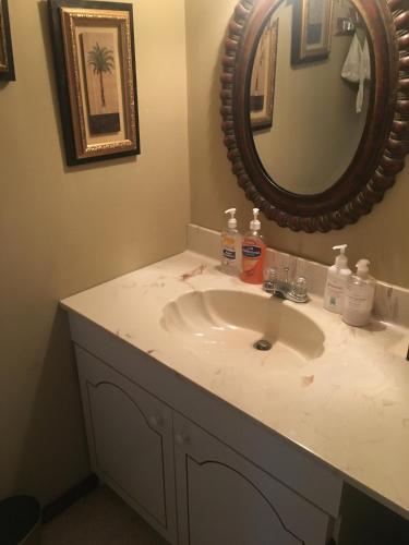 a bathroom with a sink and a mirror at 106 Village at Camelback in Tannersville