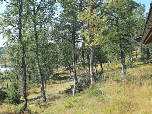 a group of trees on a hill with a body of water at 6 person holiday home in NESBYEN-By Traum in Nesbyen