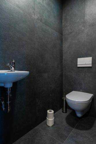 a bathroom with a sink and a toilet at PJagodic Apartments & Wellness in Cerklje na Gorenjskem