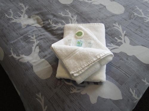 Barrow upon HumberにあるThe Haven Inn Limitedの白いタオル