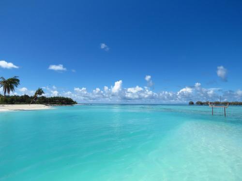 a beach with turquoise water and a palm tree at The Sunrise Huraa in Huraa
