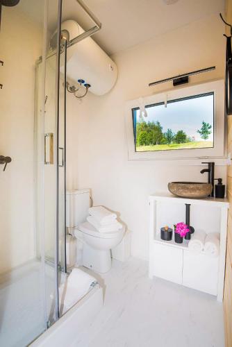 a bathroom with a toilet and a shower at Costa del Kryspi Całoroczne Domy na Wodzie in Cholerzyn