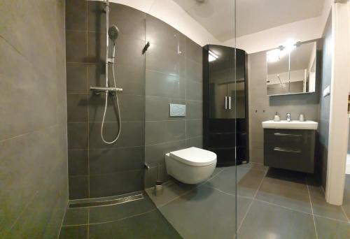 La salle de bains est pourvue d'une douche, de toilettes et d'un lavabo. dans l'établissement Apartment Mumlava Harrachov 1, à Harrachov
