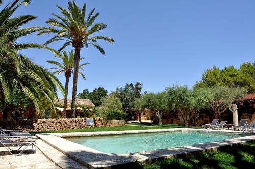 a swimming pool with palm trees and chairs in a yard at Petit Hotel Es Figueral in Campos