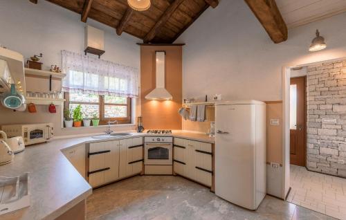 Family Villa Lipica with private pool and jacuzzi tesisinde mutfak veya mini mutfak
