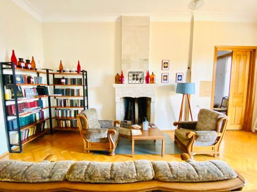 sala de estar con sofá, sillas y chimenea en Guesthouse Zedafoni en Zestafoni