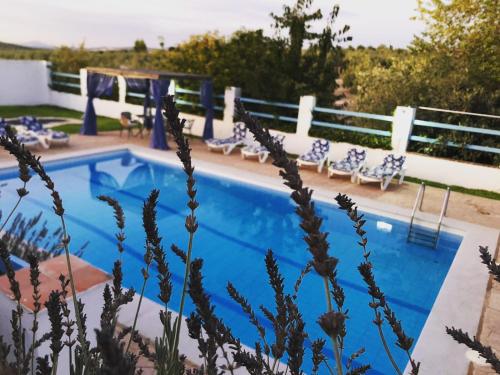 uma piscina com cadeiras azuis e brancas ao lado em Alojamiento San Juan Bautista em Cazorla