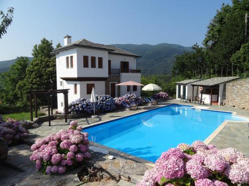 a villa with a swimming pool and a house at Villa Enallaxis in Agios Dimitrios