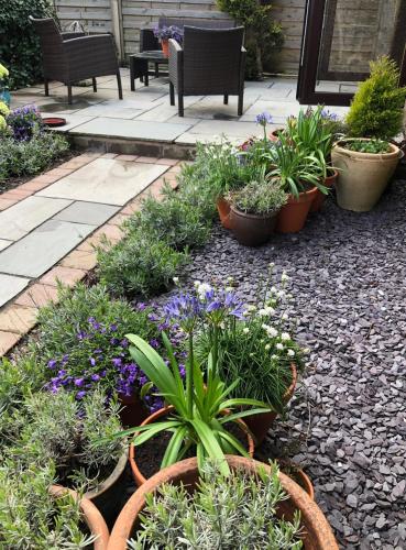 a garden with various plants in pots on the ground at Woodend Cottage in Dumfries