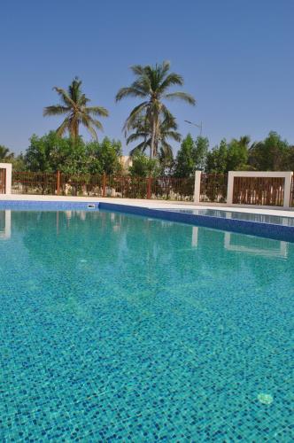 ein großer blauer Pool mit Palmen im Hintergrund in der Unterkunft Luxury Suite - Amazing Views & Lovely Garden in Salalah