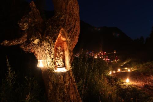 a tree with lights on it at night at Garni Miravalle in Moena