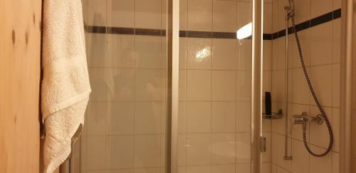 a bathroom with a shower with a glass door at Ferienhaus & Ferienwohnung Wiñay Wayna Gotschna Blick Klosters in Klosters Serneus