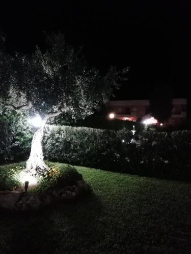 Φωτογραφία από το άλμπουμ του Stella di Mare Appartamenti στη Μαρσάλα
