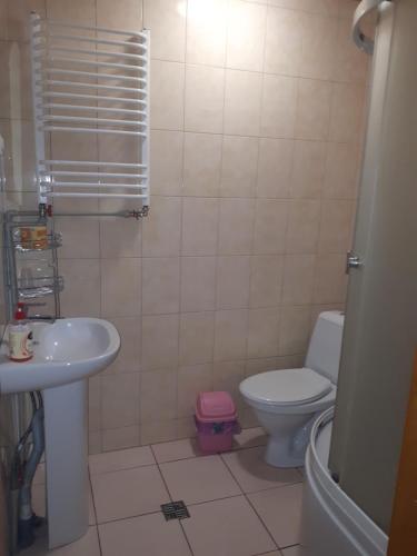 ein Bad mit einem WC und einem Waschbecken in der Unterkunft Ансол in Worochta