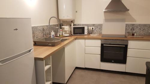 La cuisine est équipée d'un comptoir avec évier et d'un réfrigérateur. dans l'établissement Appartement au calme, à Changis-sur-Marne