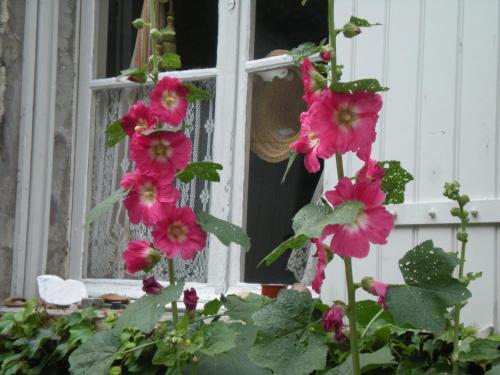 Cocooning Avignon photo 54