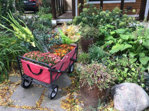 a garden with a pink cart filled with plants at Baxter House Bed & Breakfast and Apartment in Ann Arbor
