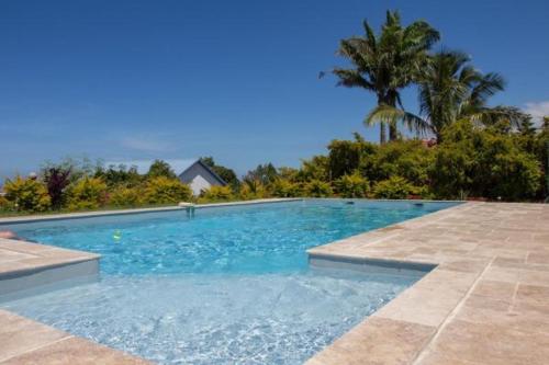 a large swimming pool with a palm tree in the background at un bungalow au paradis in Saint-Pierre