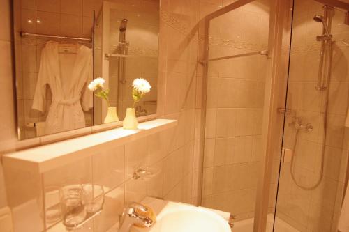 巴爾德赫旺的住宿－Alpenrösle，带淋浴、卫生间和盥洗盆的浴室