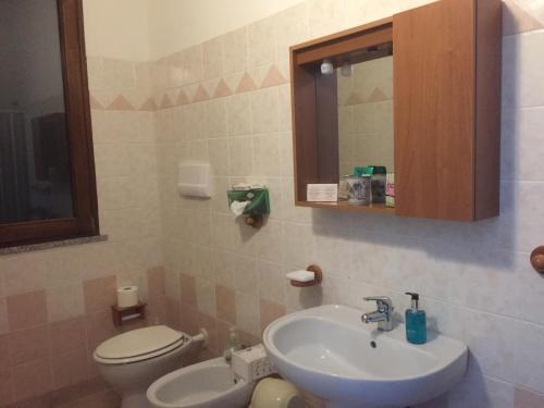 a bathroom with a sink and a toilet and a mirror at Agriturismo Pranu in Sorgono