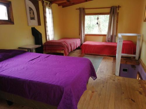 1 dormitorio con 2 camas y ventana en Ligustrum House, en Punta del Diablo