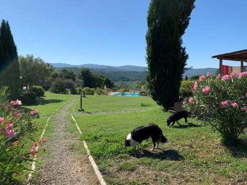Κατοικίδιο ή κατοικίδια επισκεπτών που μένουν στο Podere I Massoni