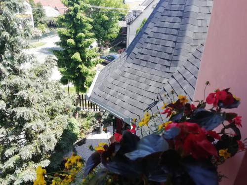 Taman di luar Ilona Kis Kastély Panzió