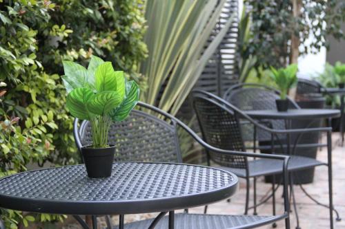 a black table and chairs with a potted plant on it at MG Design Hotel Boutique in Salta