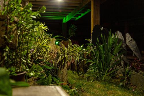 a green light in a garden with plants at Pousada Vida Simples in São Francisco do Sul