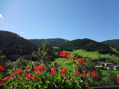 a view of a valley with red flowers at Hotel Garni Sonnblick in Bad Kleinkirchheim