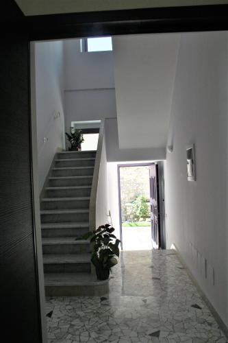 a staircase in a house with a potted plant at Altavilla Holiday House in Tivoli