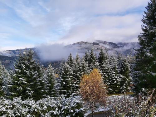 a view of a snowy mountain with trees and clouds at Korlape Apartman 4.2 in Wolfsberg