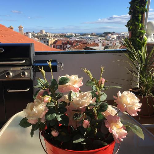 a potted plant sitting on a table on a balcony at Apartment with private patio in Fuengirola