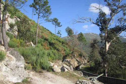 a mountain with trees and rocks and a road at Casa Oeste in Sabugueiro
