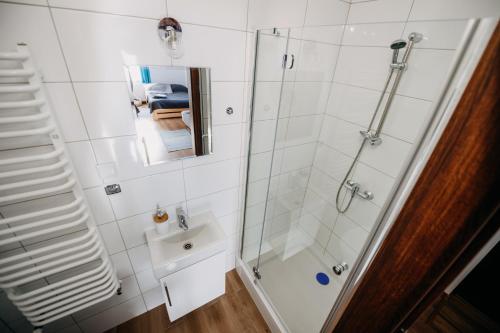 uma casa de banho com um chuveiro e um lavatório. em Piękne Roztocze em Zamość