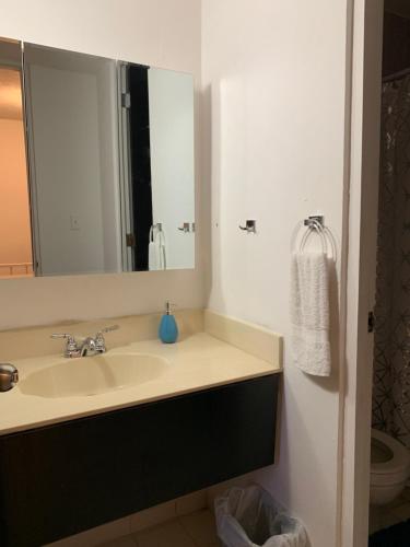 a bathroom with a sink and a mirror at Villa Marina Village Apartment in Fajardo