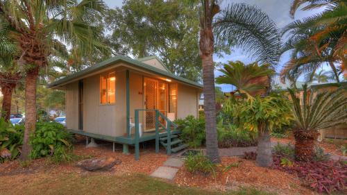 a tiny house in the middle of palm trees at Maroochy River Bungalows in Diddillibah