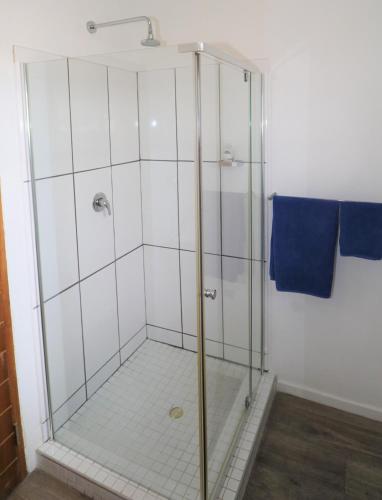 a shower with a glass door in a bathroom at Tiende Laan Bed & Breakfast and Self-Catering in Walvis Bay