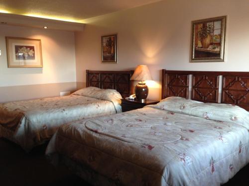 道森河市的住宿－旅行者旅館，酒店客房,设有两张床和一盏灯