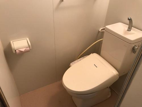 a bathroom with a white toilet and a roll of toilet paper at Weekly Harbourview Mansion Main Building in Naha