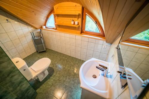 małą łazienkę z toaletą i umywalką w obiekcie Bieszczadzki Ośrodek Wypoczynkowo Konferencyjny DANFARM w mieście Ustrzyki Dolne