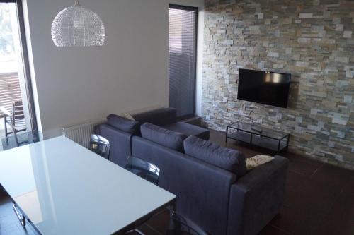 a living room with couches and a flat screen tv at Apartments Klinovec in Loučná pod Klínovcem