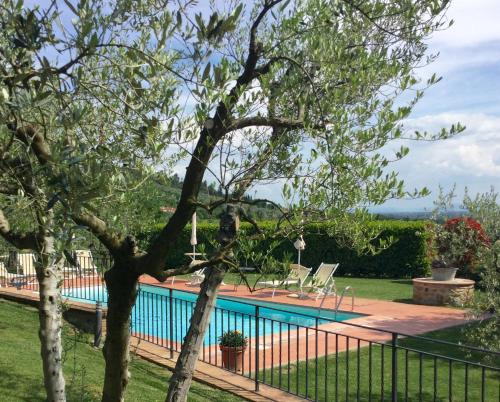 The swimming pool at or near Agriturismo Borgo tra gli Olivi