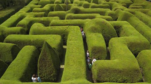 people walking through a maze of green hedges at Jettycove Beach House in Rosebud