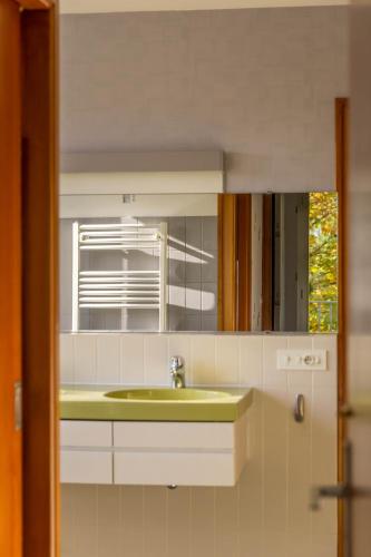 une salle de bain avec un lavabo vert et un miroir dans l'établissement La Maison de l'Orbière, à Forcé