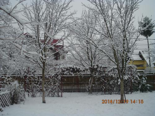 Vila Mihaela im Winter